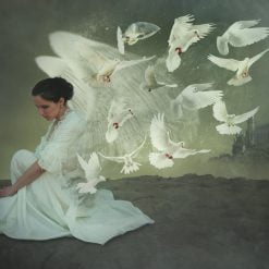 white dove fragrance oil