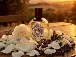 Dippy De Sens Fragrance Oil