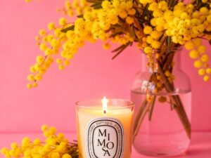 Dippy Mimosa Fragrance Oil