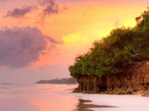 Alternative view of African Coast Fragrance Oil